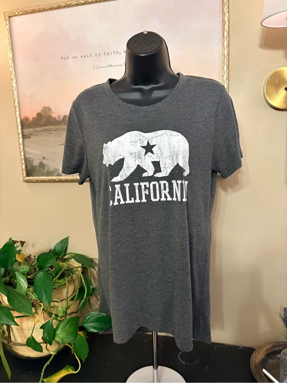 Modern Lux Gray California Bear Graphic Tee Size M
